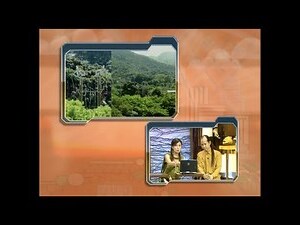 電塔 風水